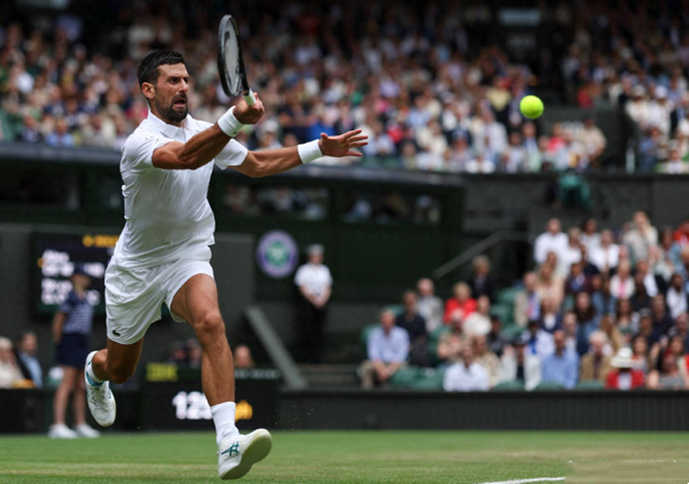 AYX SPORTS-德约科维奇到底多可怕